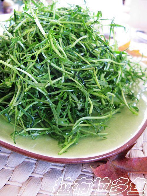 凉拌苦菊的做法